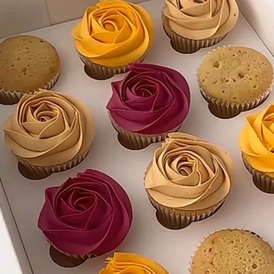 菲菲🌸🍀🐬🐬