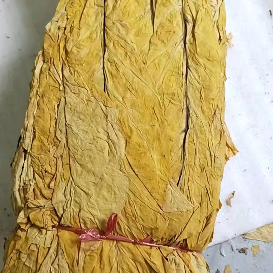 这个故事没有结局