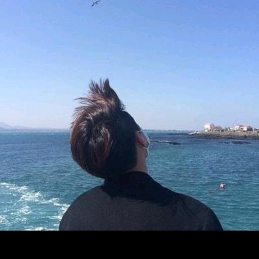 少年与梦