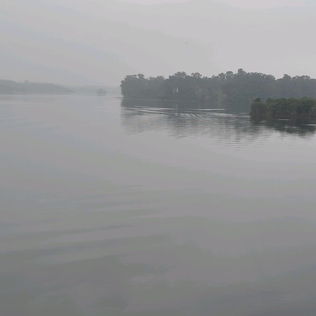 骆骆必须大方