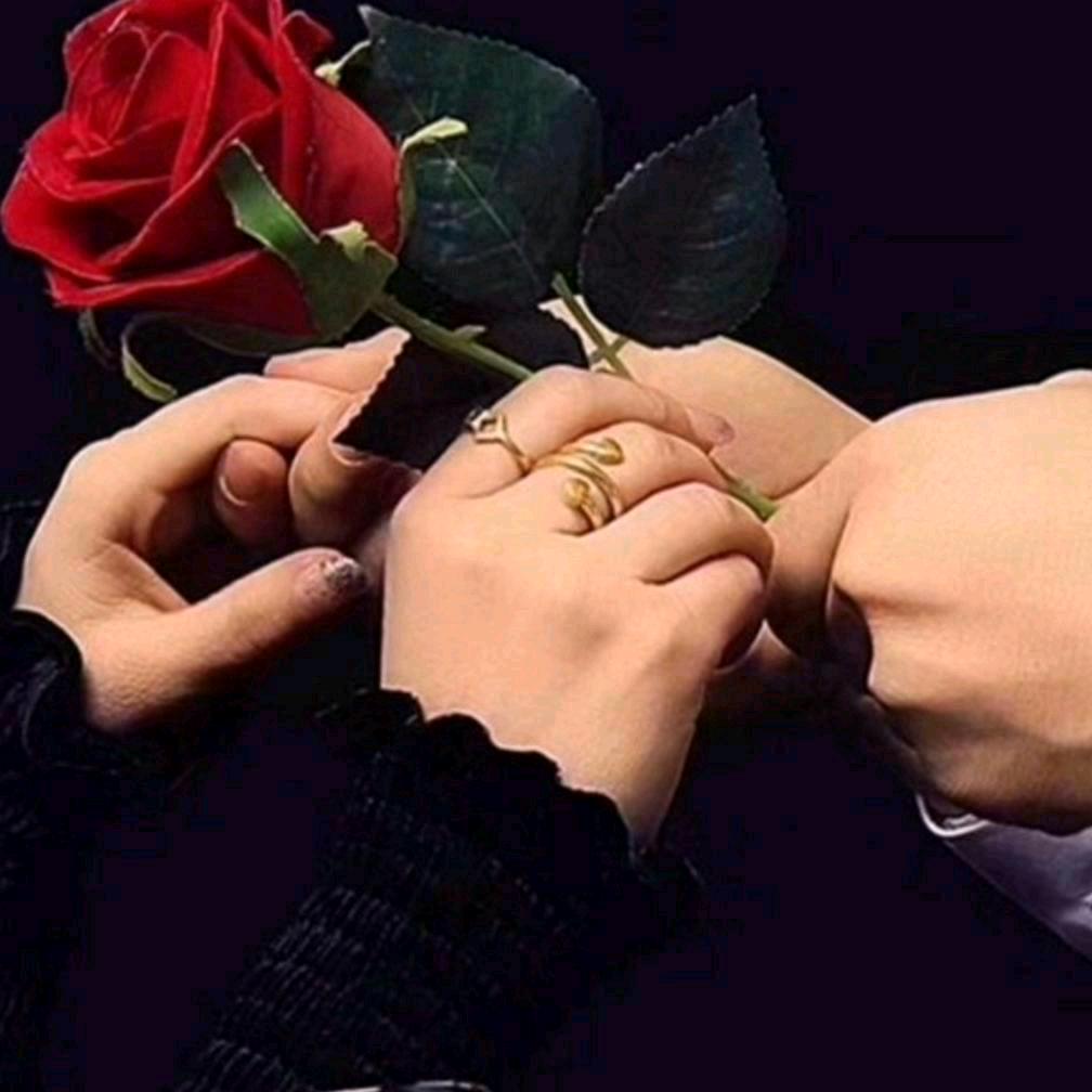 🌹玫瑰花百货店🌹