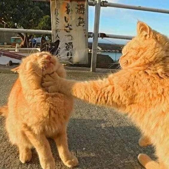 教培销售成交辅导