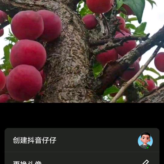 思念