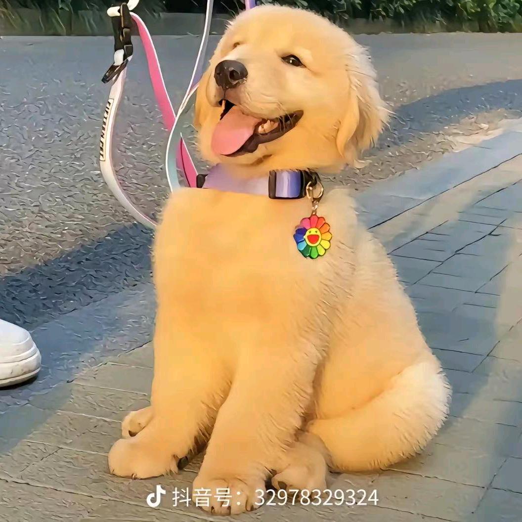 甜心萌娃