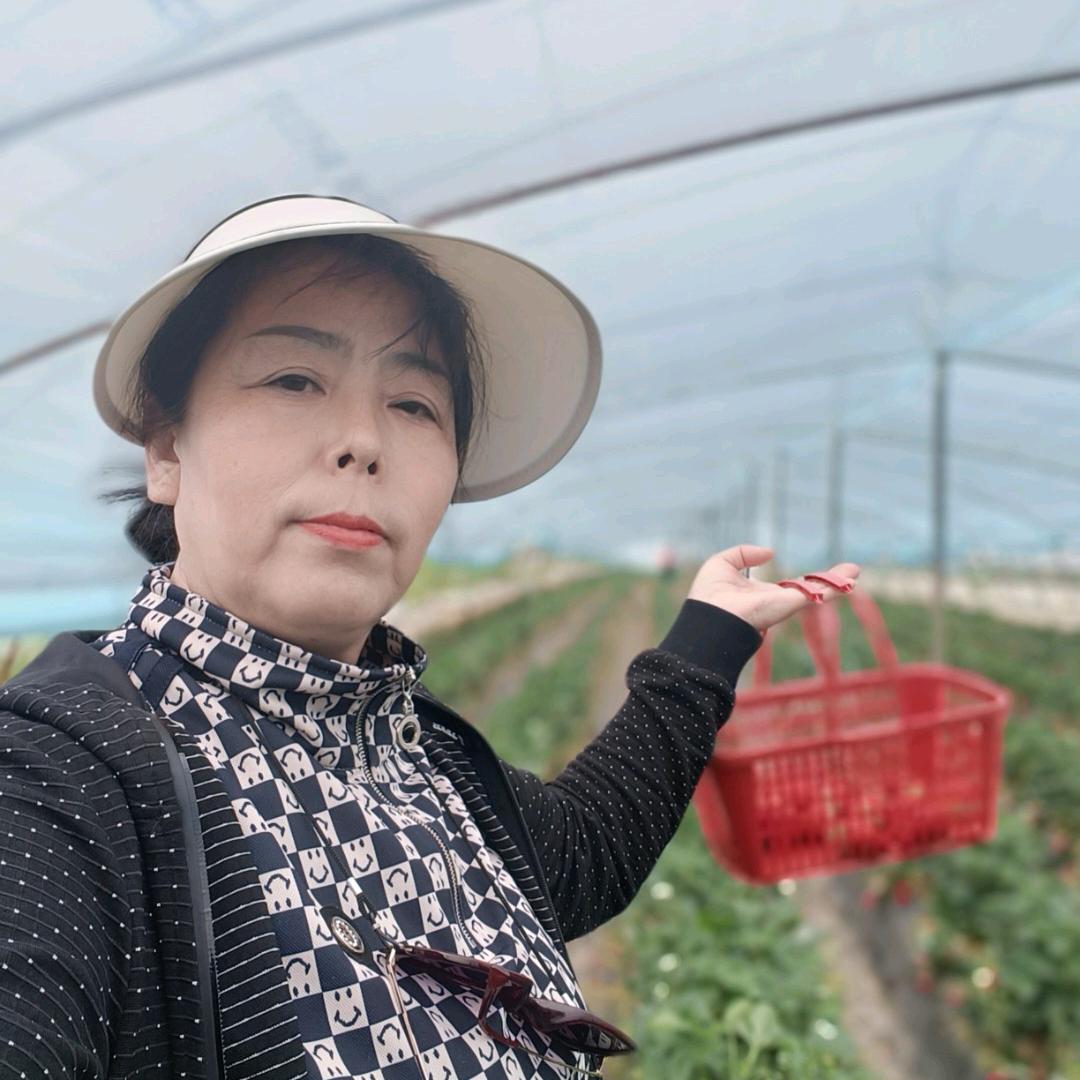 玫瑰🌹