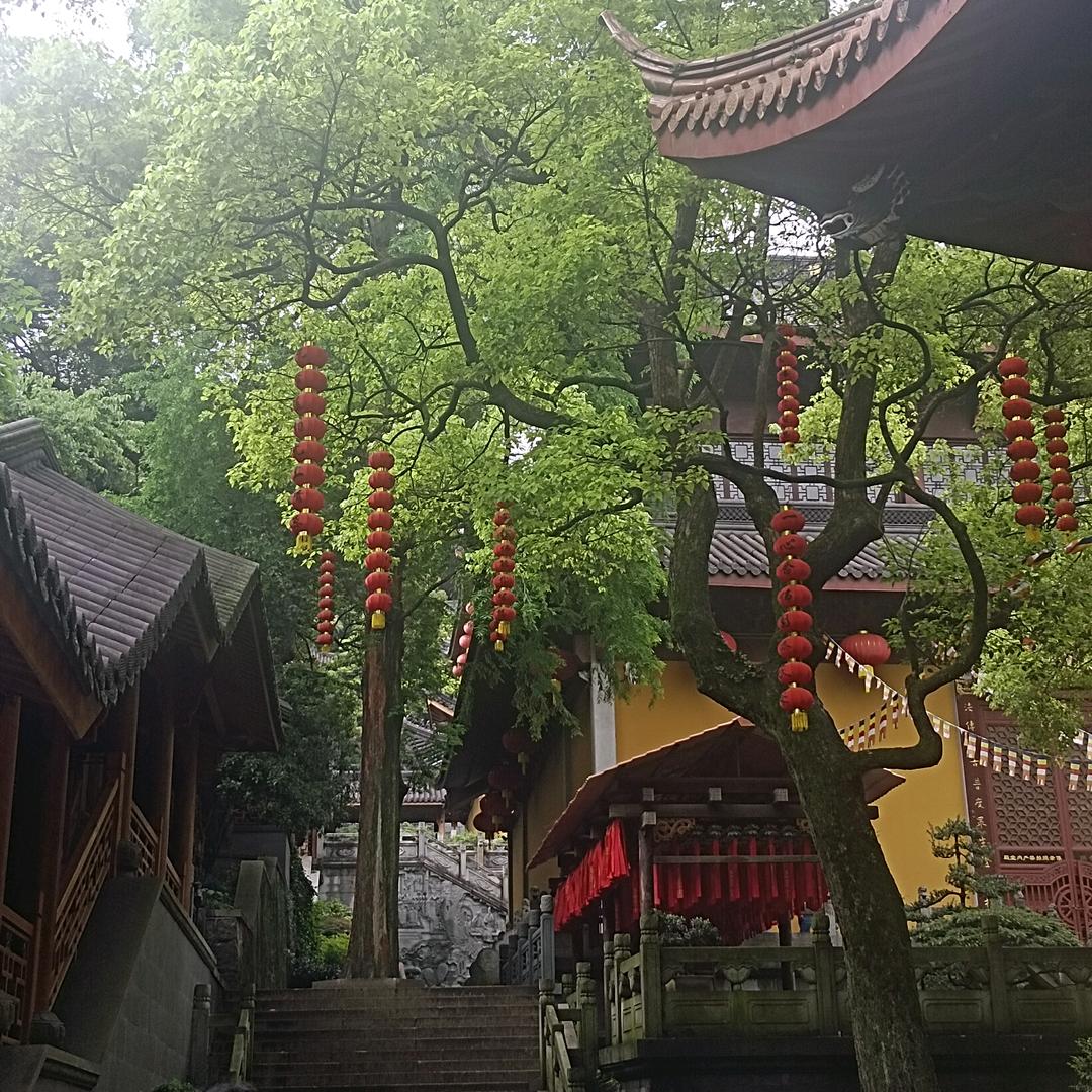 豫见