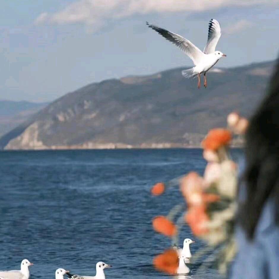 M。