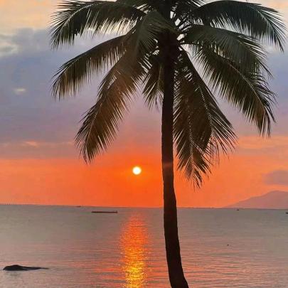 ( っ'-')╮ =͟岁月静好(っ'-