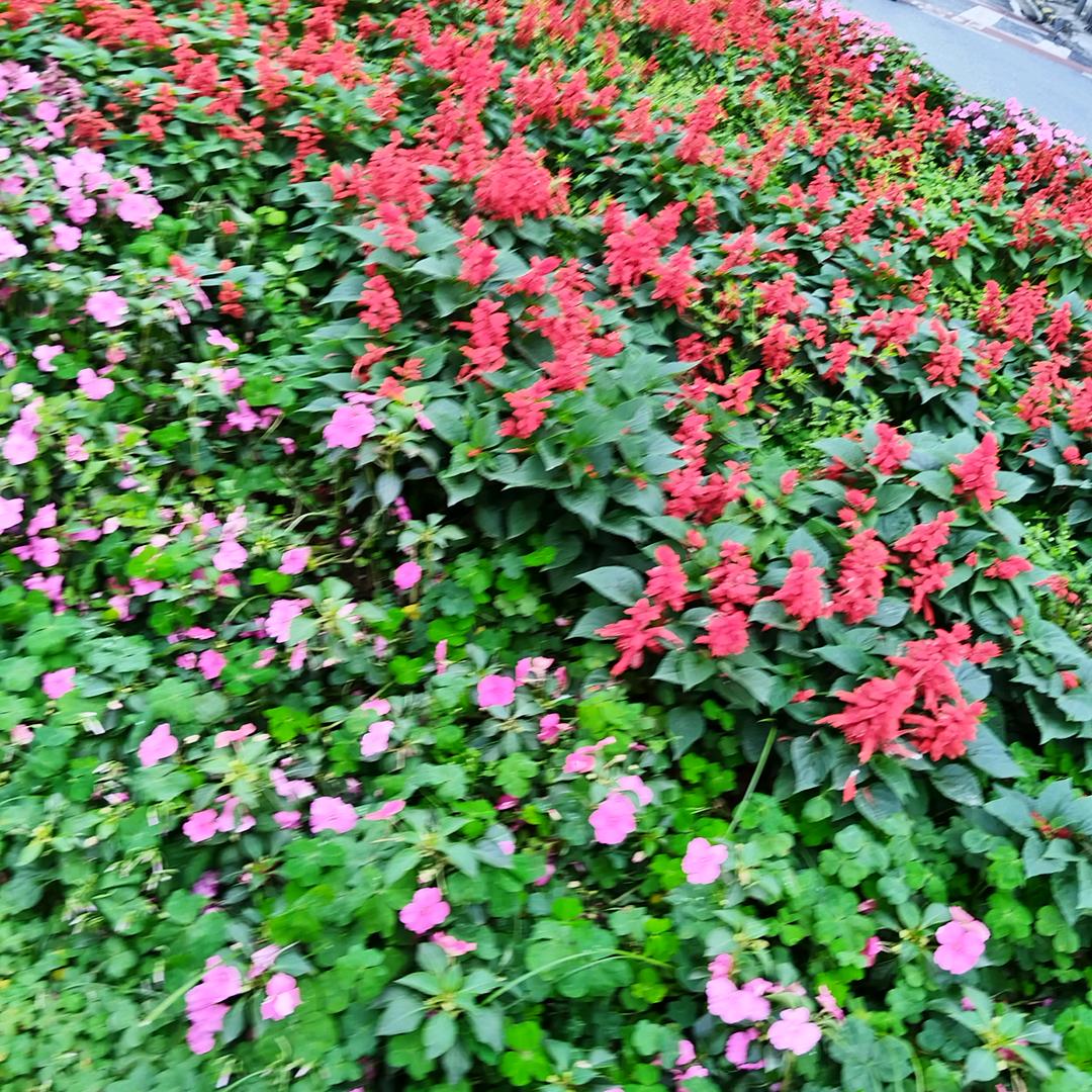 一切随缘👶👬👬