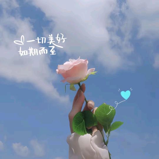 小娟❤