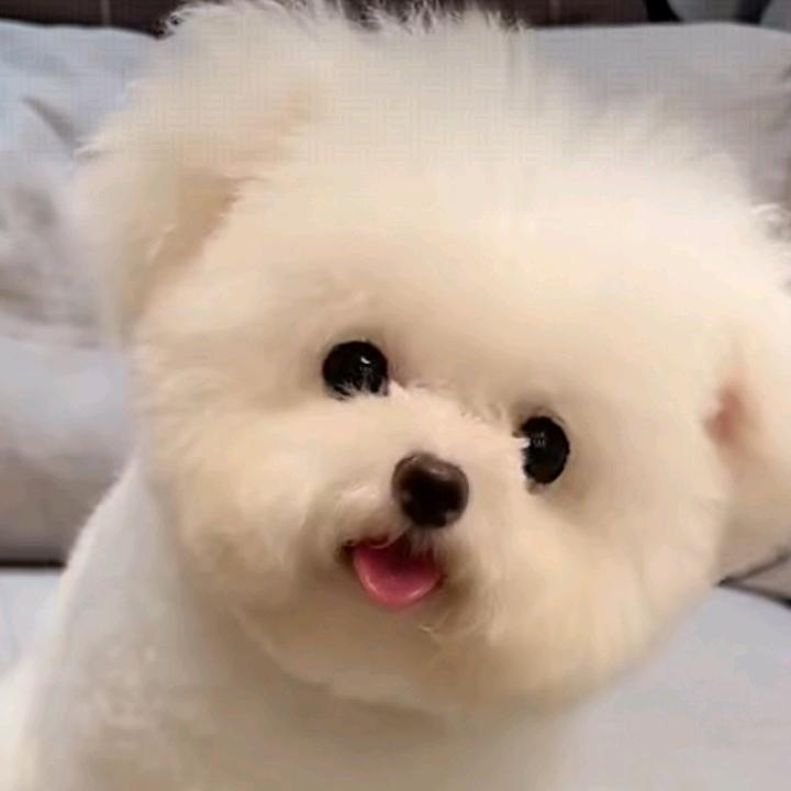 笑纳百川