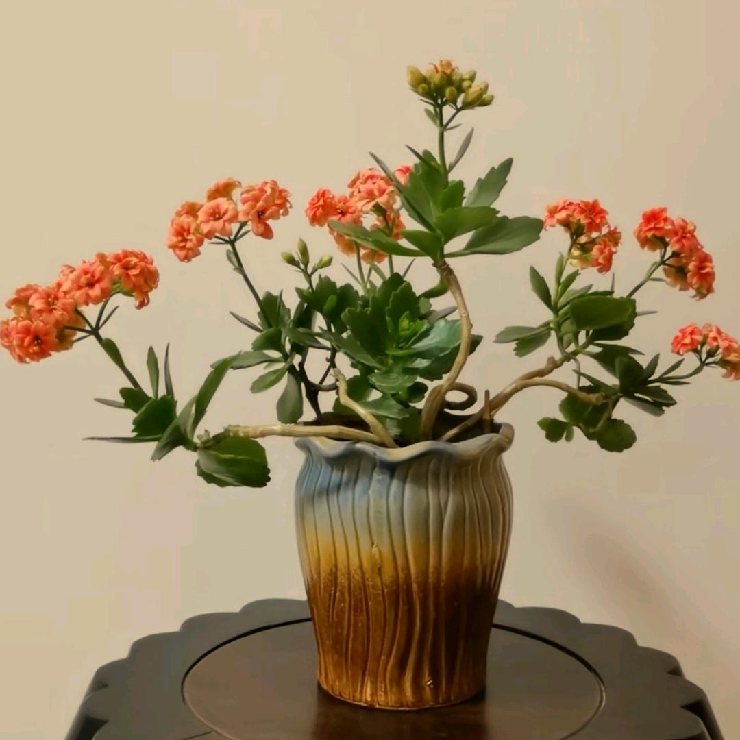 春暖花开yu
