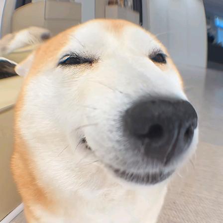 久光