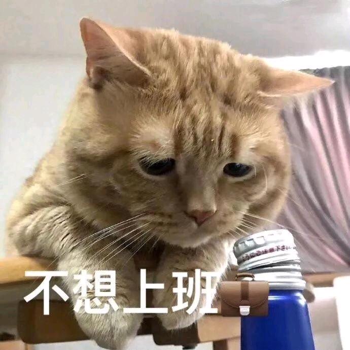 十、九