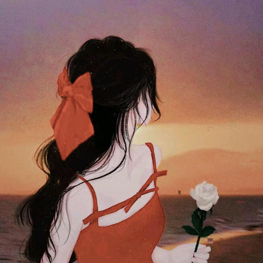 风信子🧚‍♀️