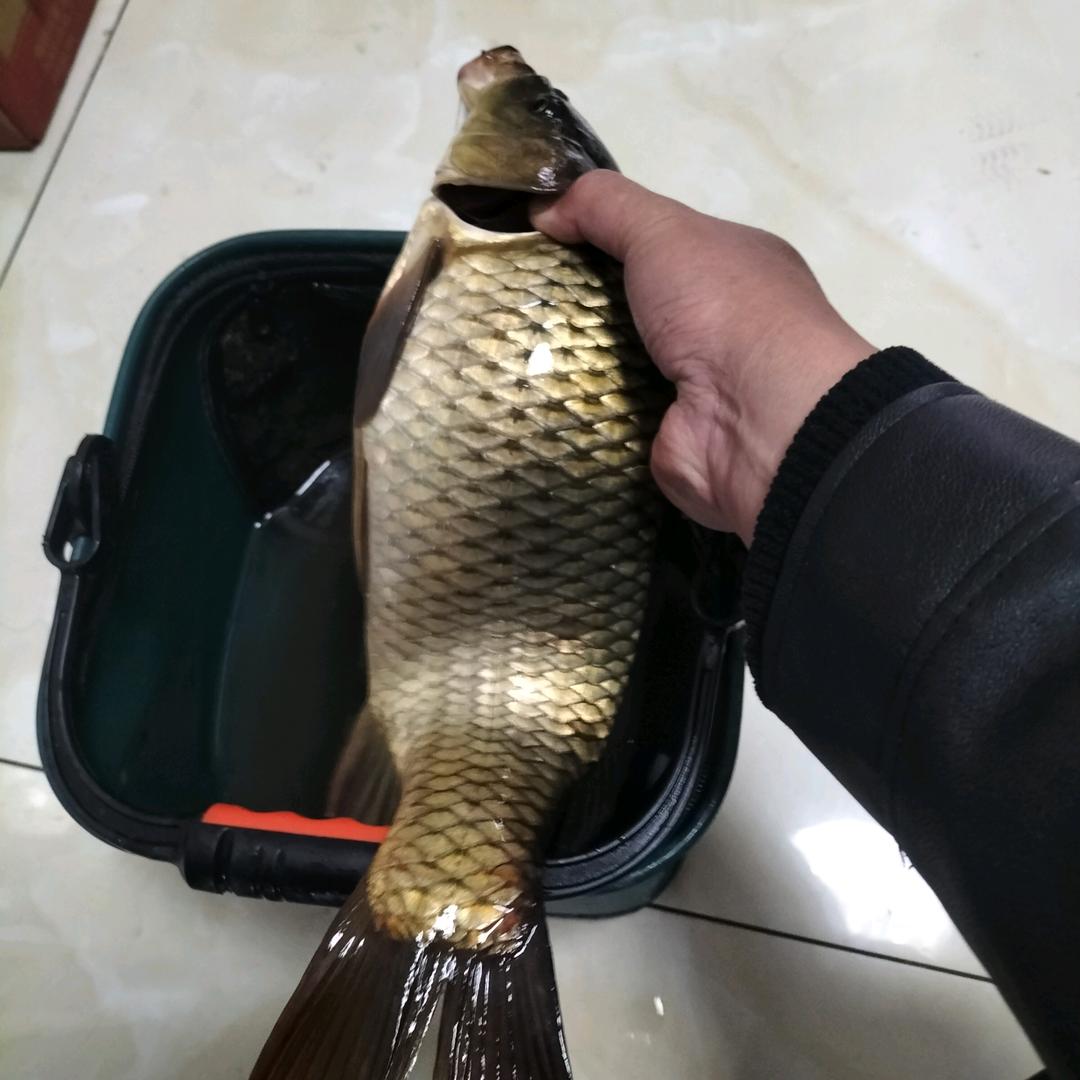 @一路有您🇨🇳