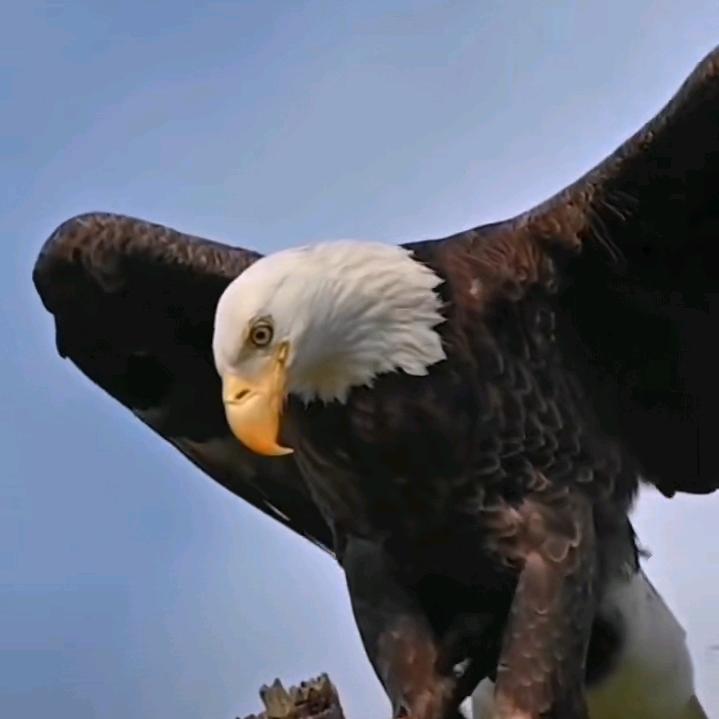 董生