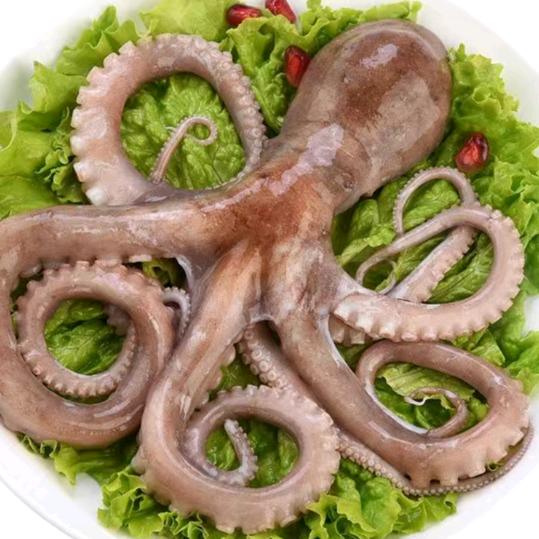 南山湖红红海鲜