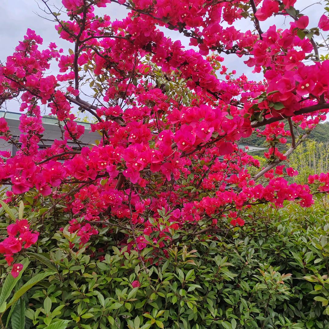 不要被别人伤的太深