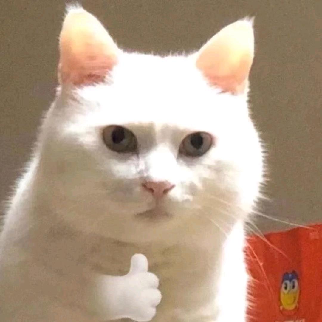 Z 脏脏包