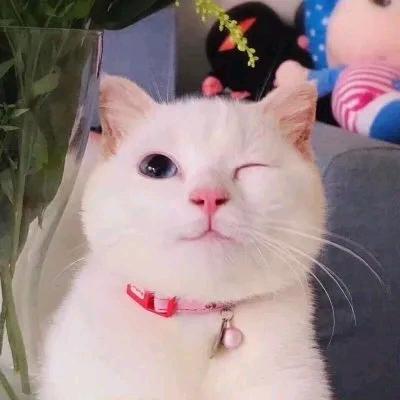 东仔