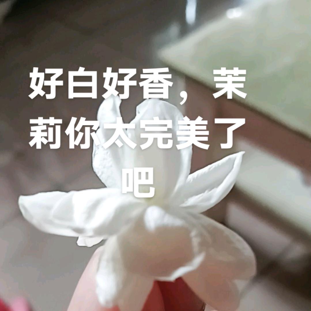 🇨🇳温文儒雅🇨🇳