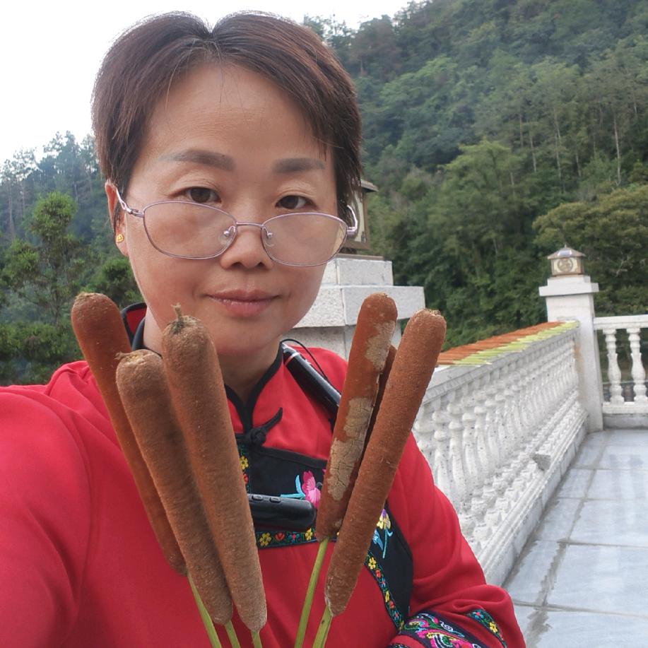 农村田姐