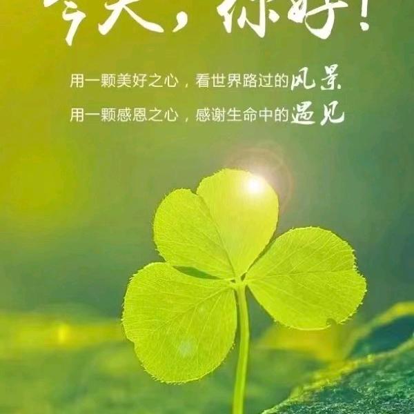小群⊙💕