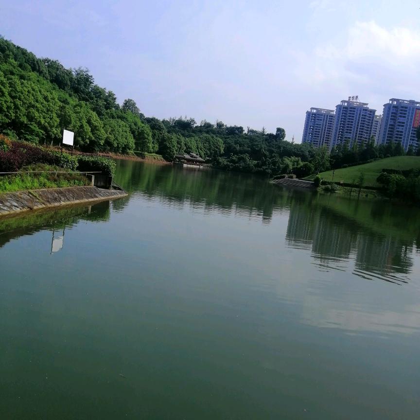 大雁南飞