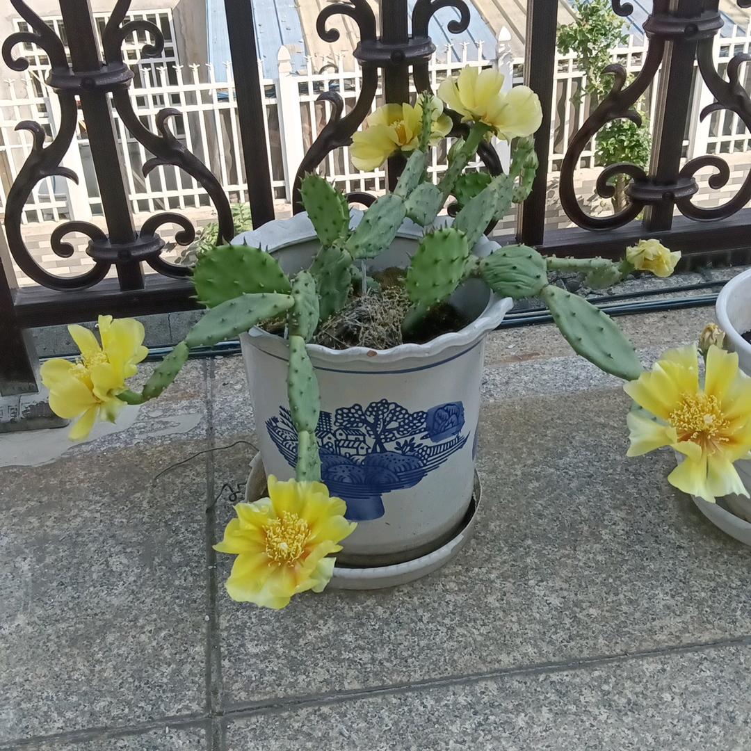 不捣浆糊