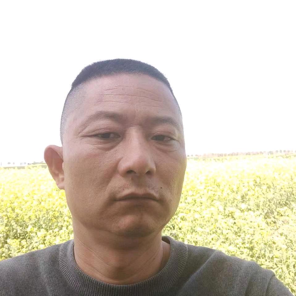 舞钢小胡（胡晓垒）
