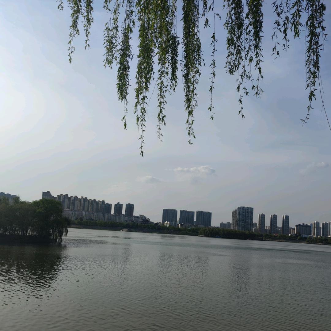 💕兔斯基が