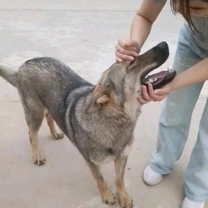 独行侠