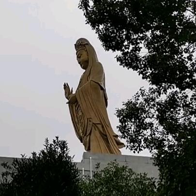 易心