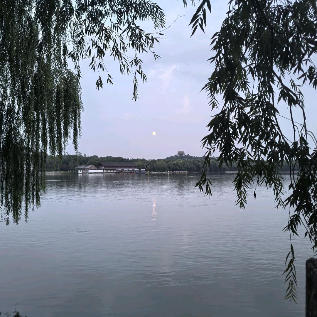 本心1201