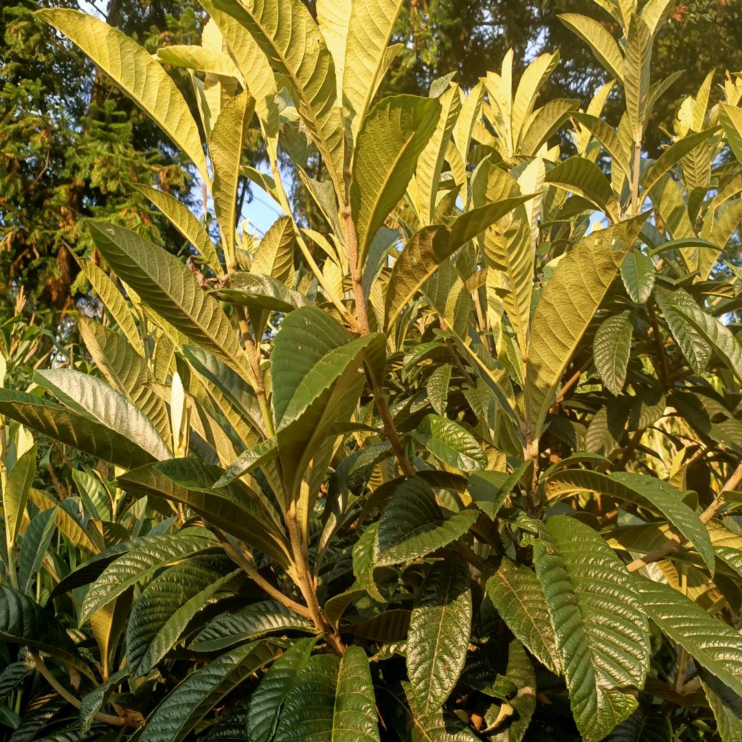 我没有什么对不起你的