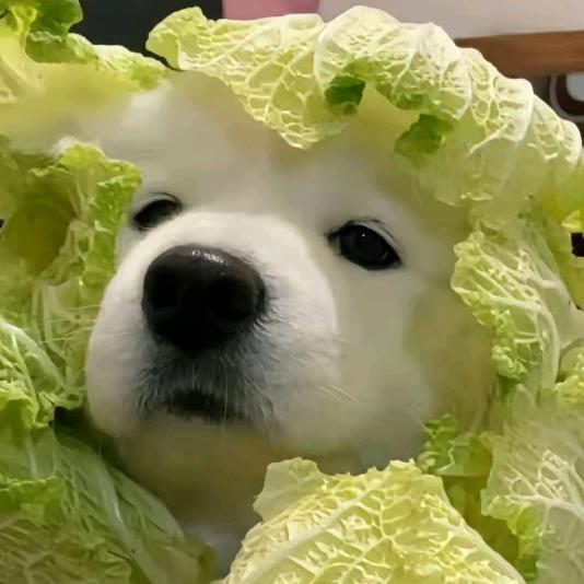 吃亏是亏