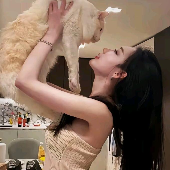 芋火火的原创设计宝藏潮壳