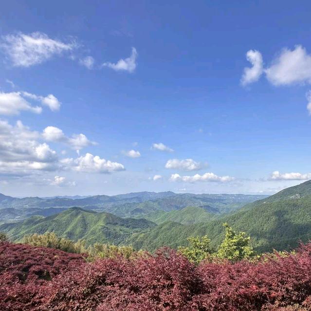 秤子