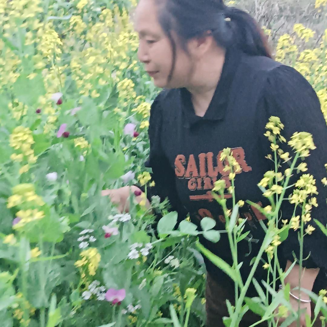 永有快乐