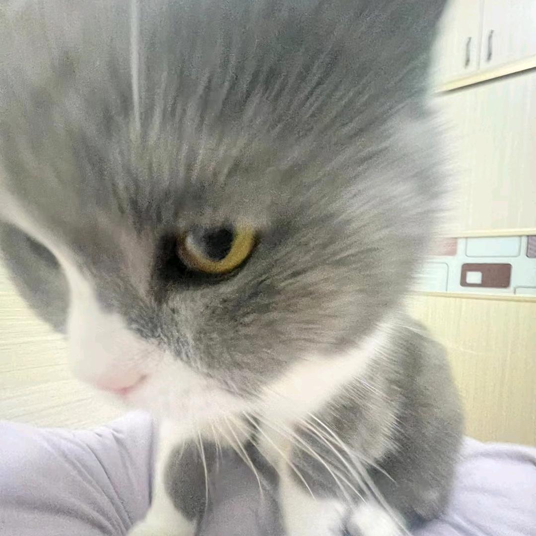 诚信.