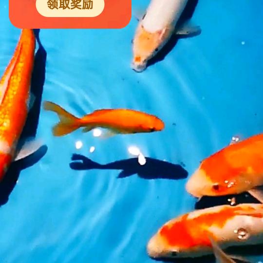 小蒲同学不迷茫