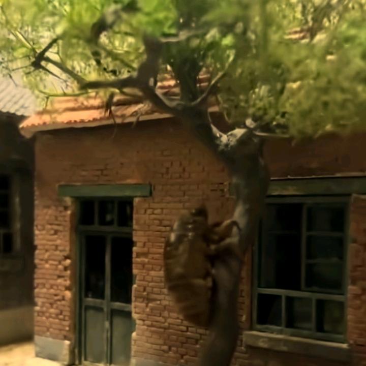 皖南户外小陈