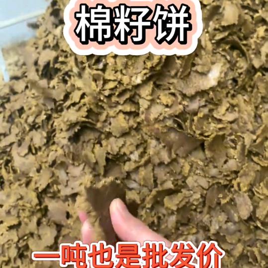 棉籽饼