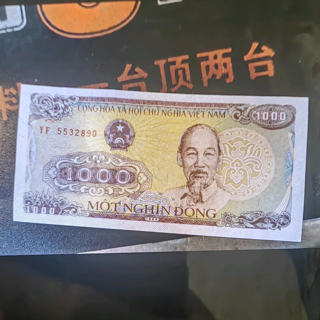 流浪