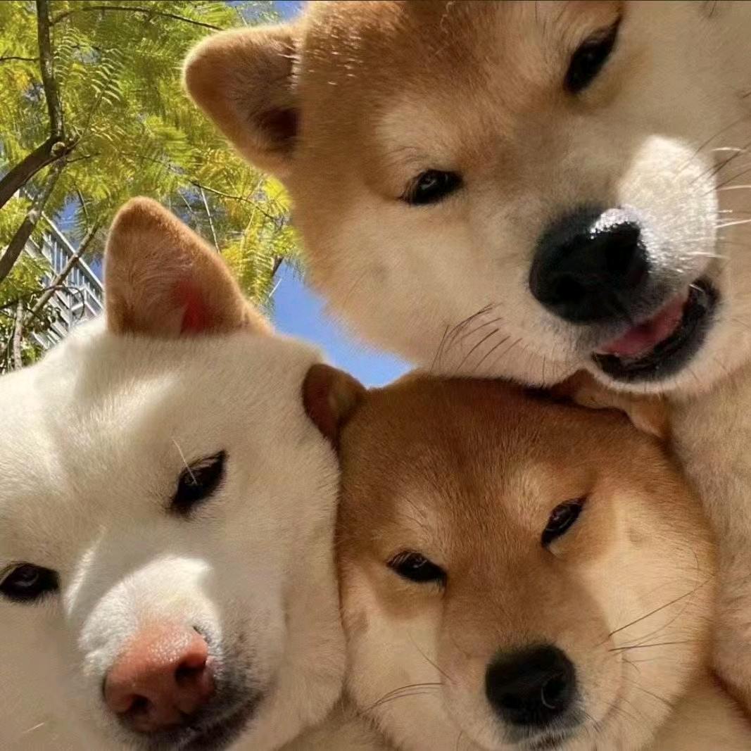 看透不说透
