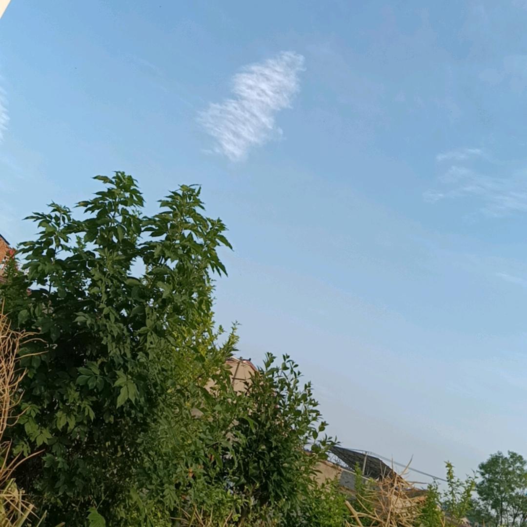 花开月圆