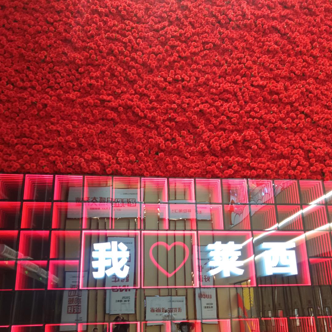 最美相遇