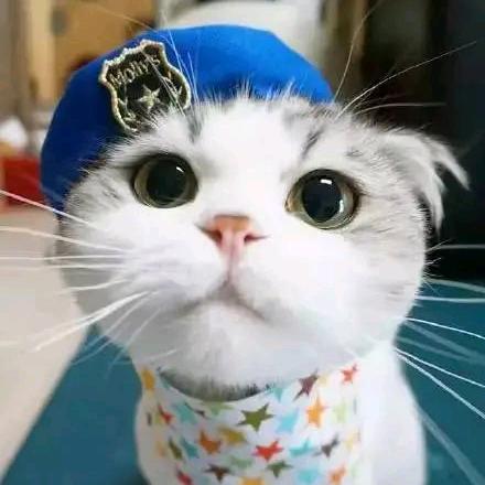 我萌怪我咯￣3￣