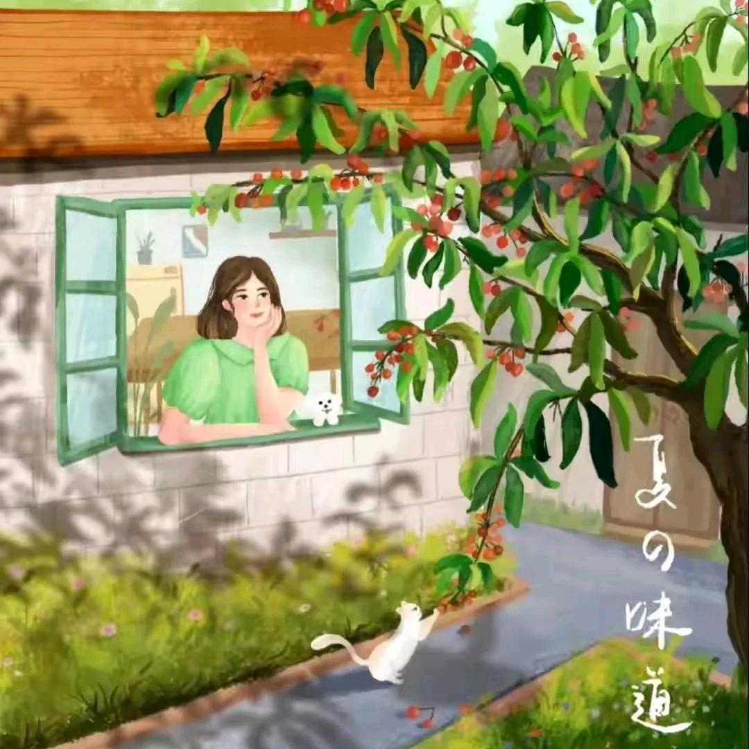 朗朗豆豆